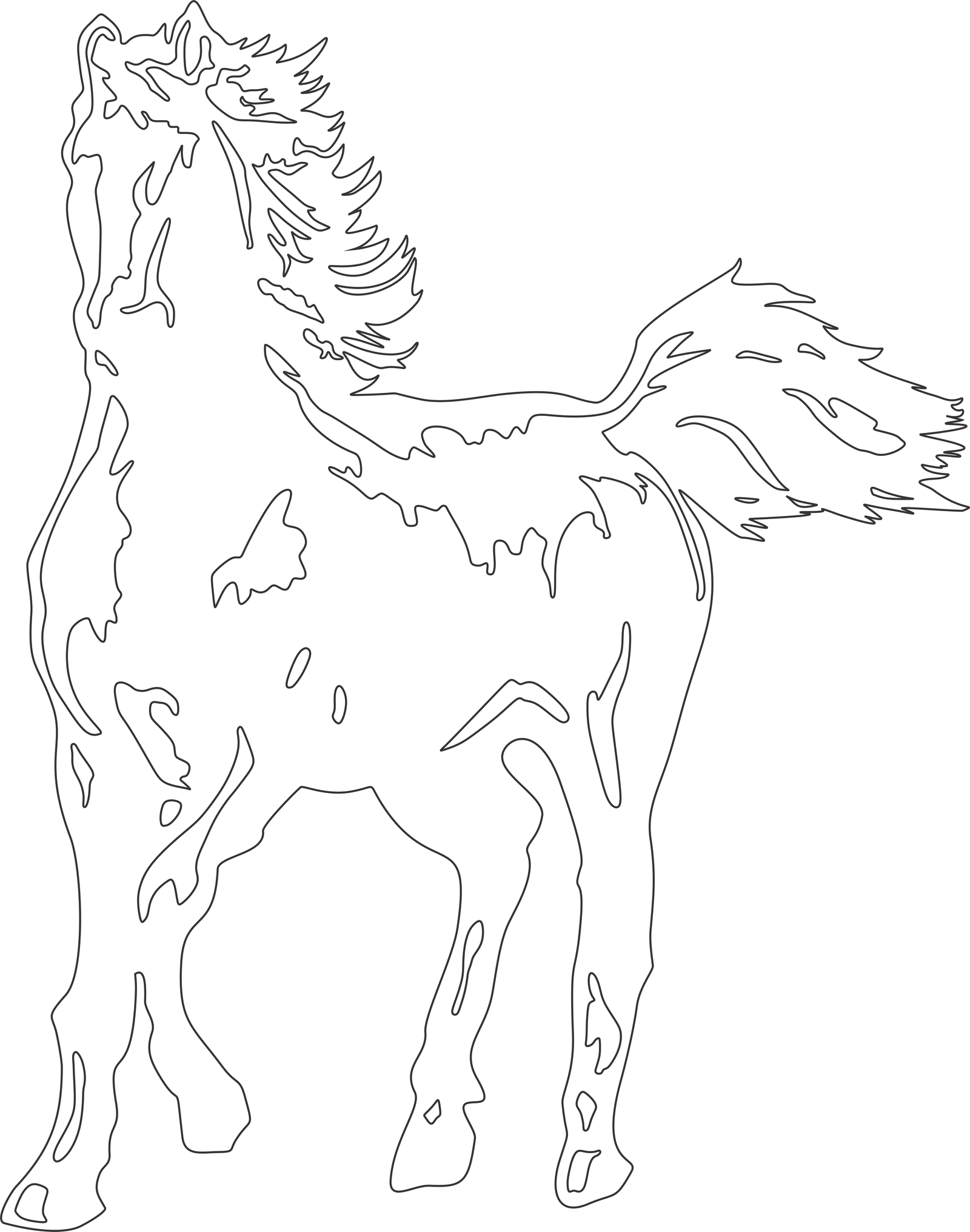 caballo de cuerpo completo