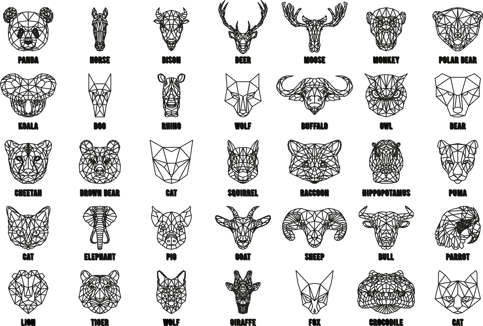 colección de animales