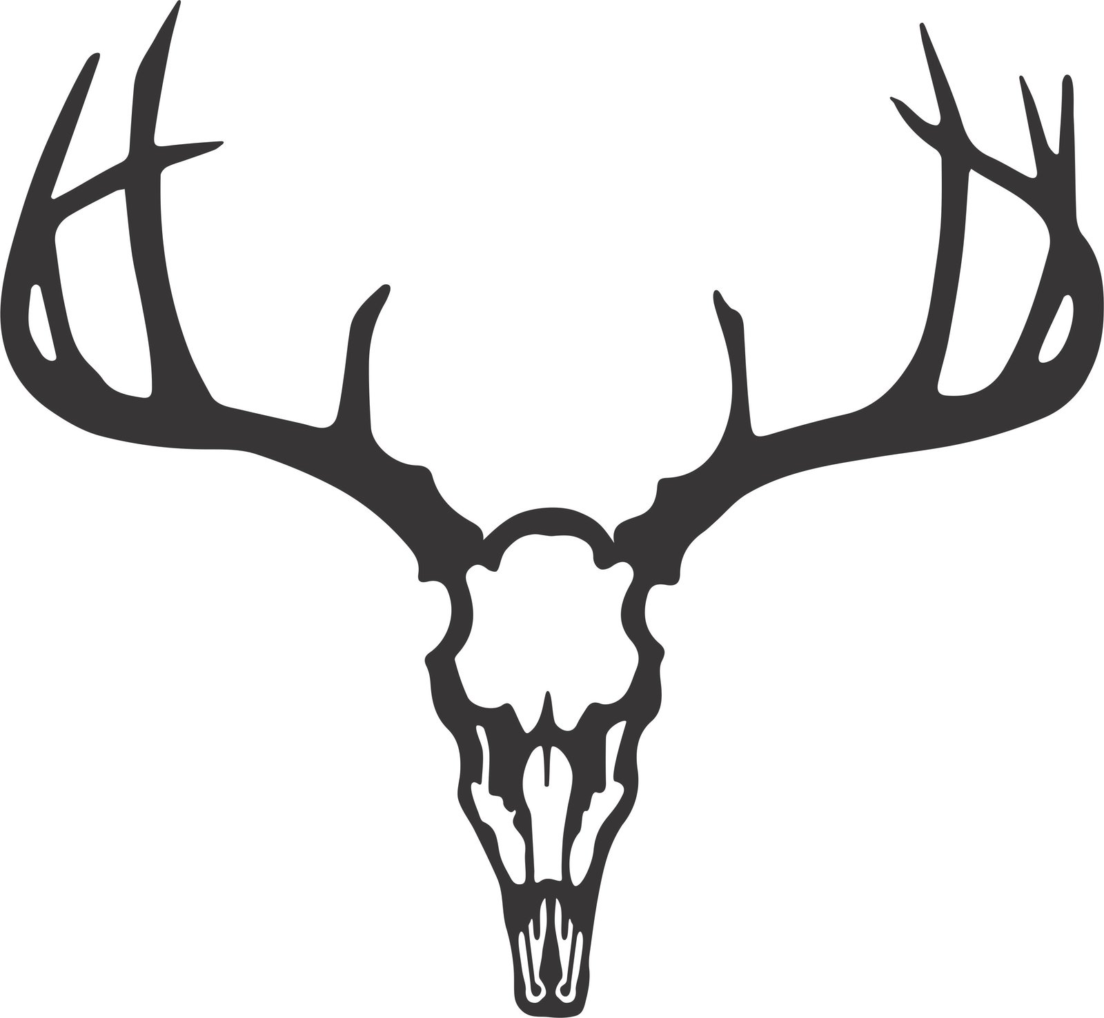 cráneo de animal cornudo