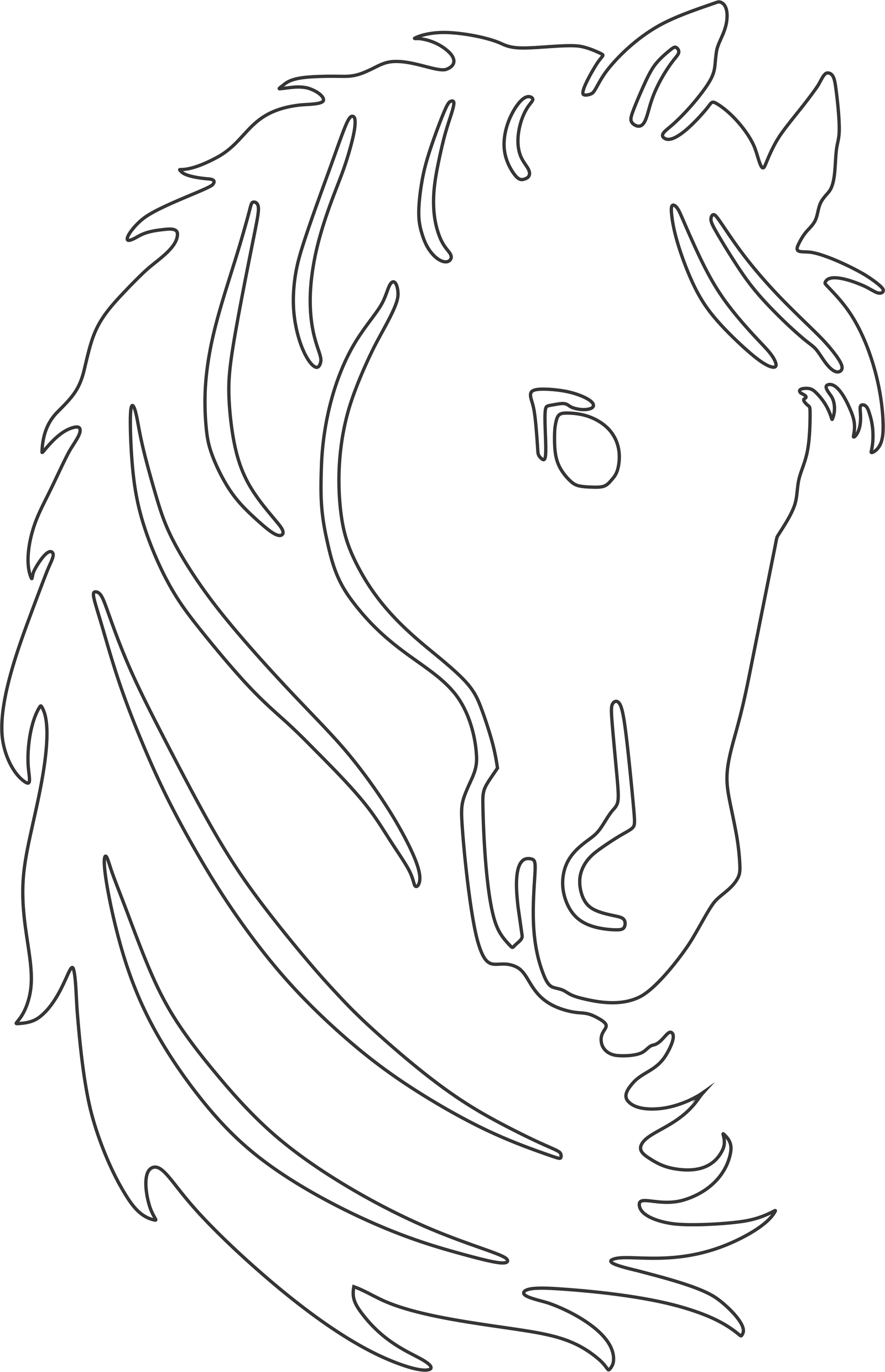 perfil de caballo con crin