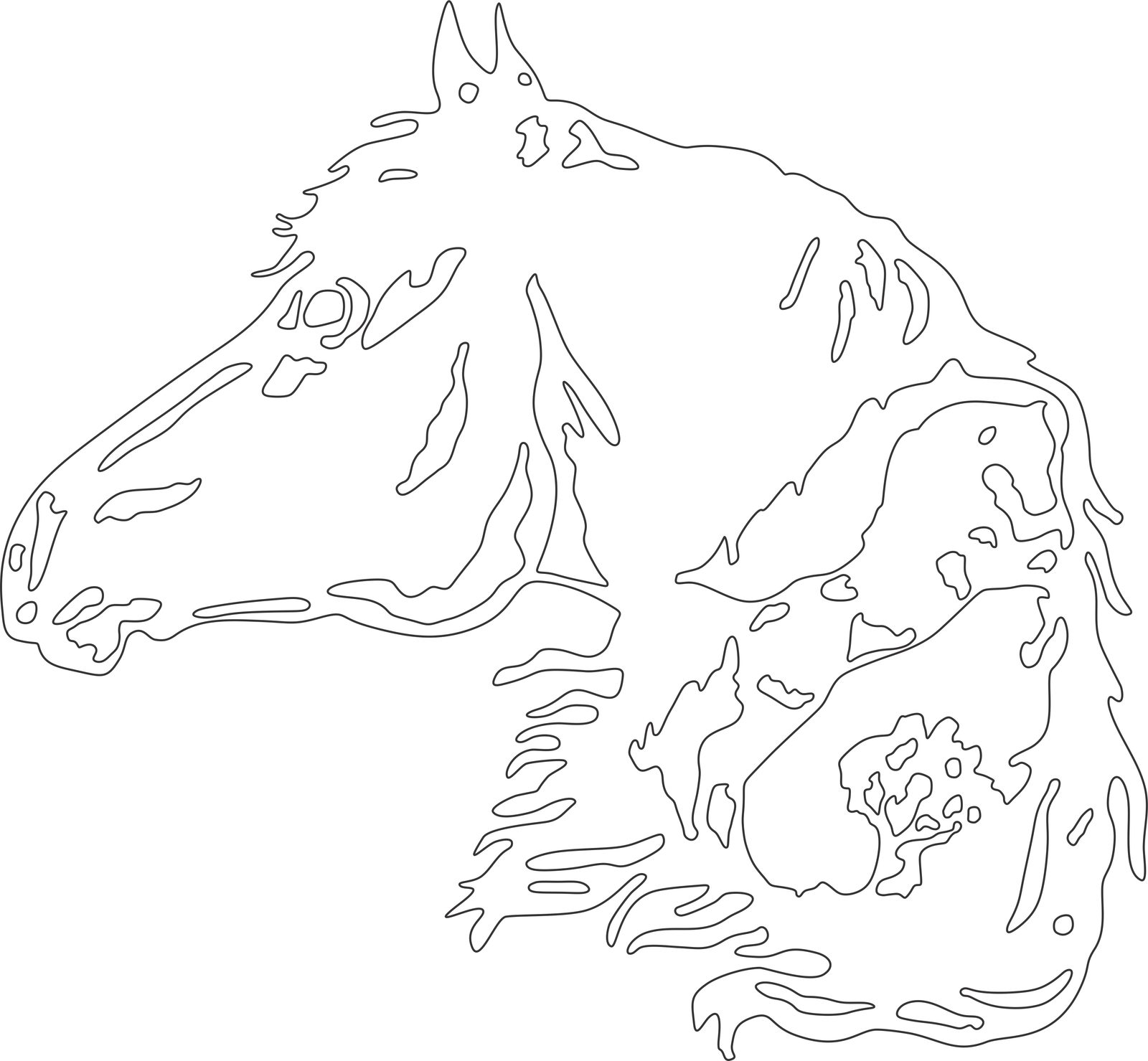 perfil izquierdo de caballo