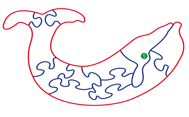 rompecabezas de ballena 4