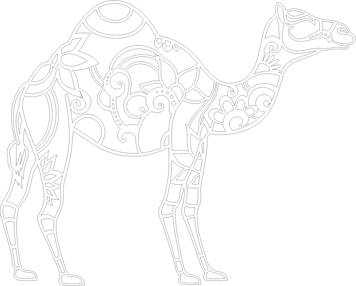camello mandala