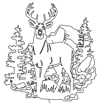 alce y pinos silvestres