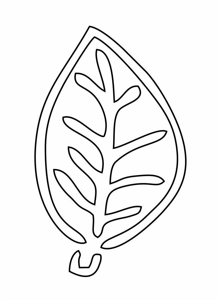 aretes con diseño de hoja 12