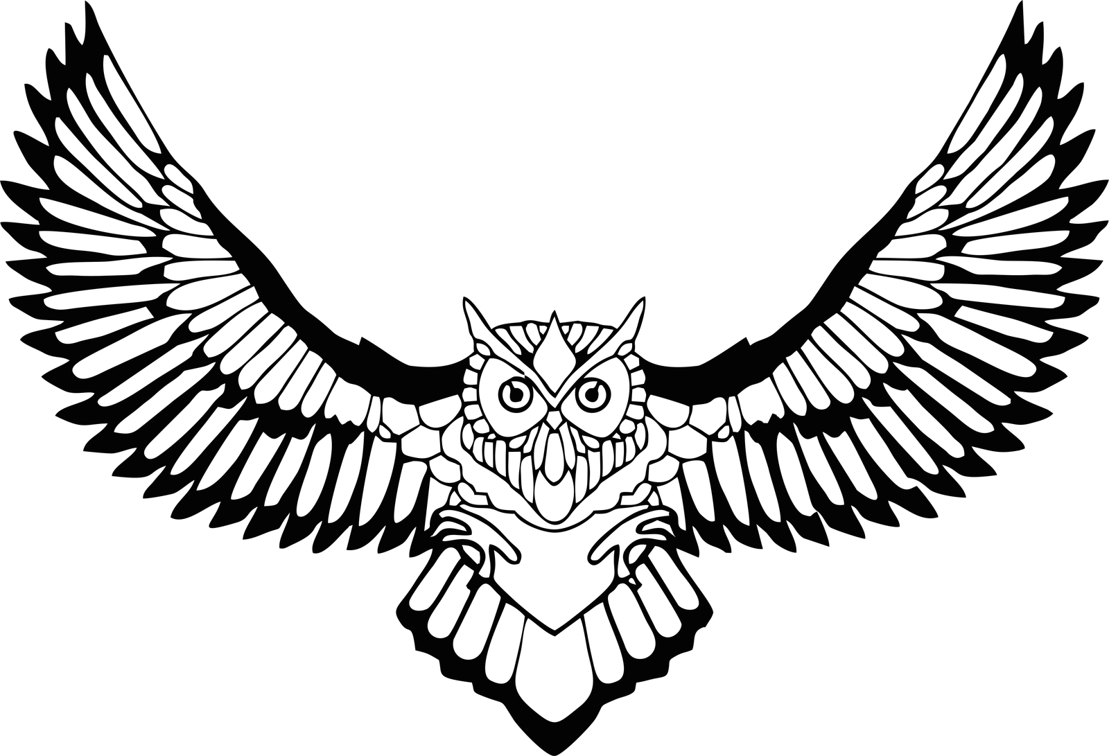 búho de alas extendidas 4