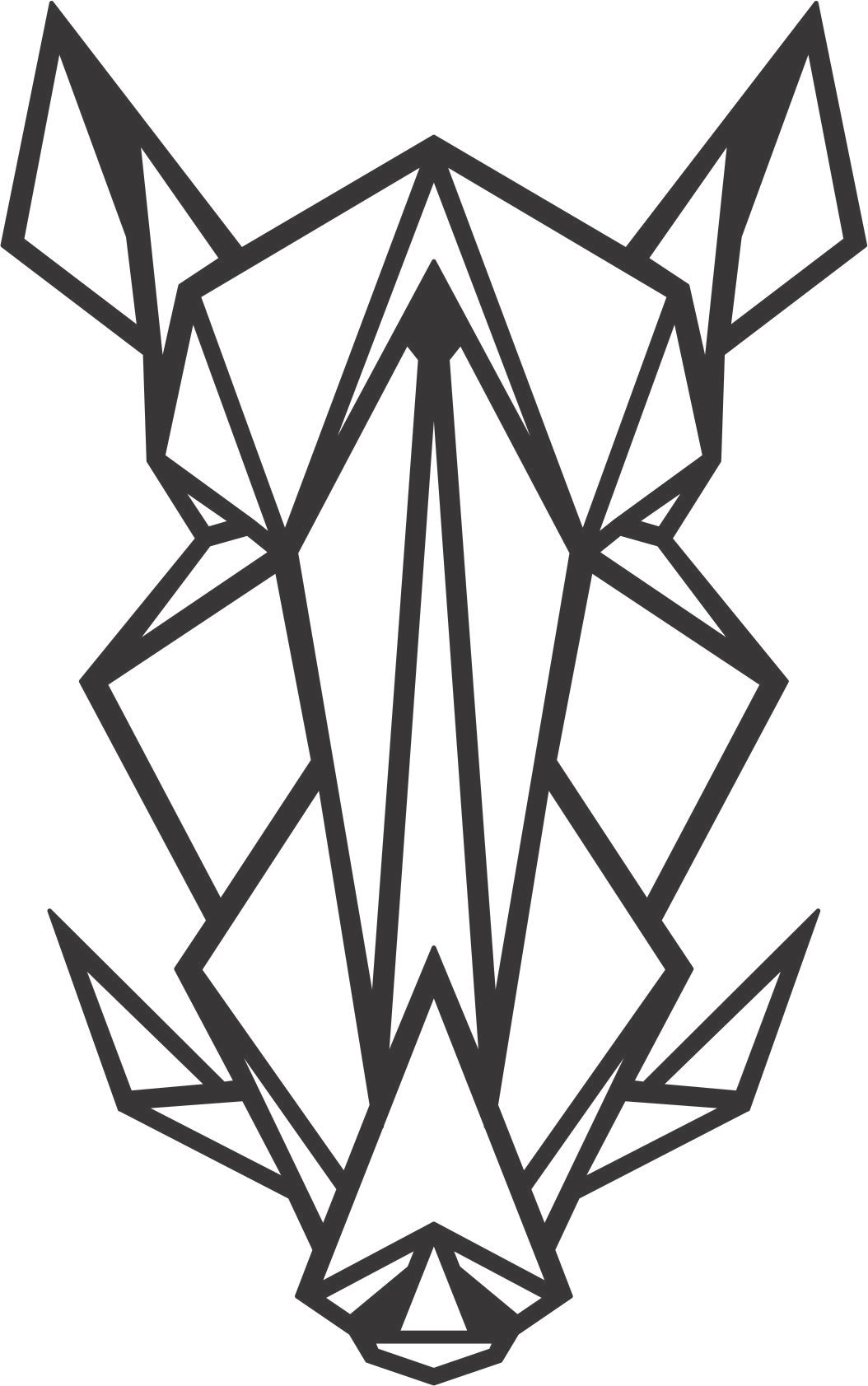 cabeza de jabalí frontal