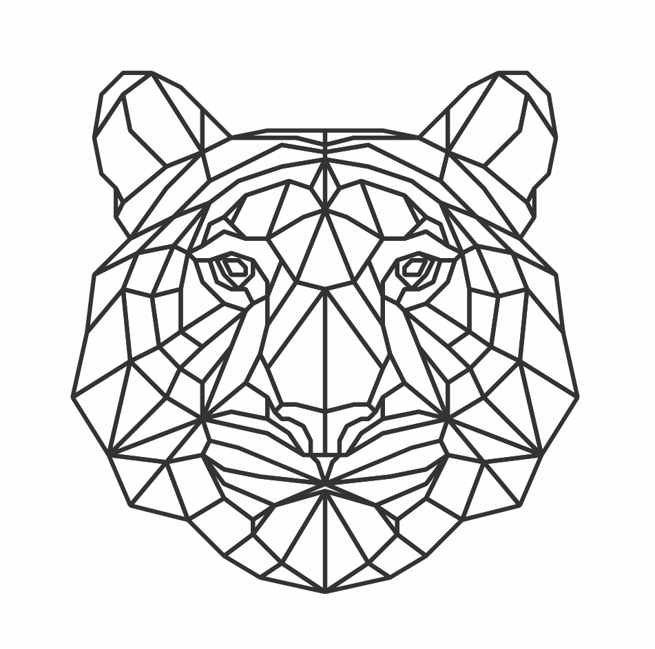 cabeza de tigre de bengalad