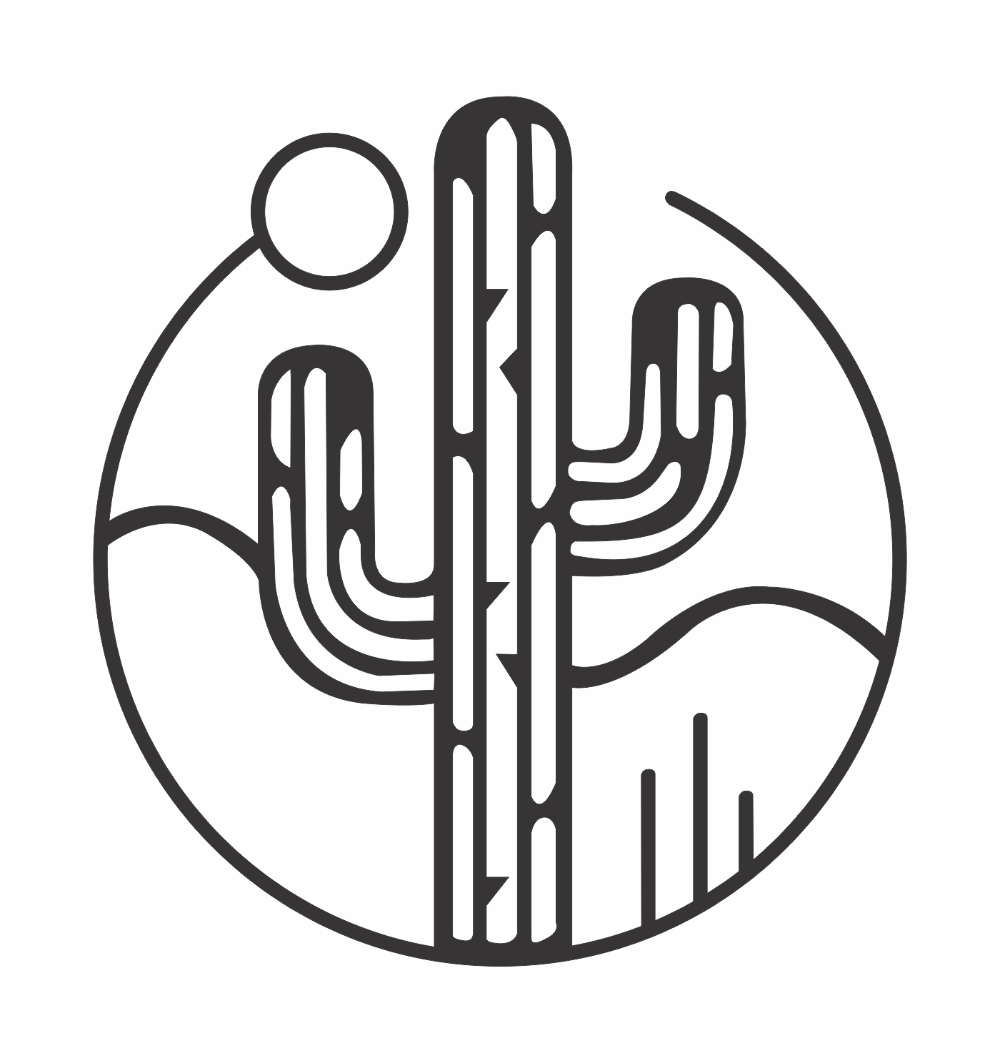 cactus en el desierto