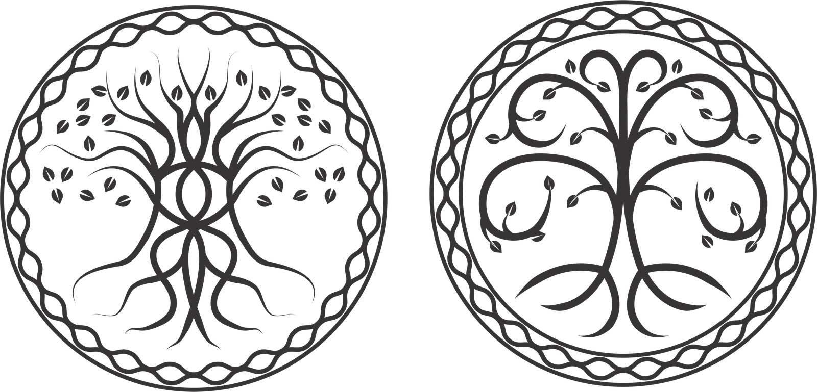 diseños de árboles con raíces 11