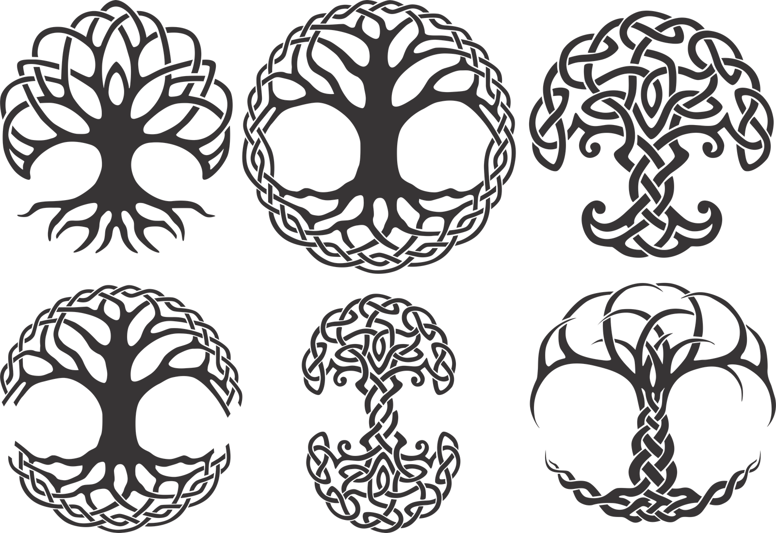 diseños de árboles con raíces 13