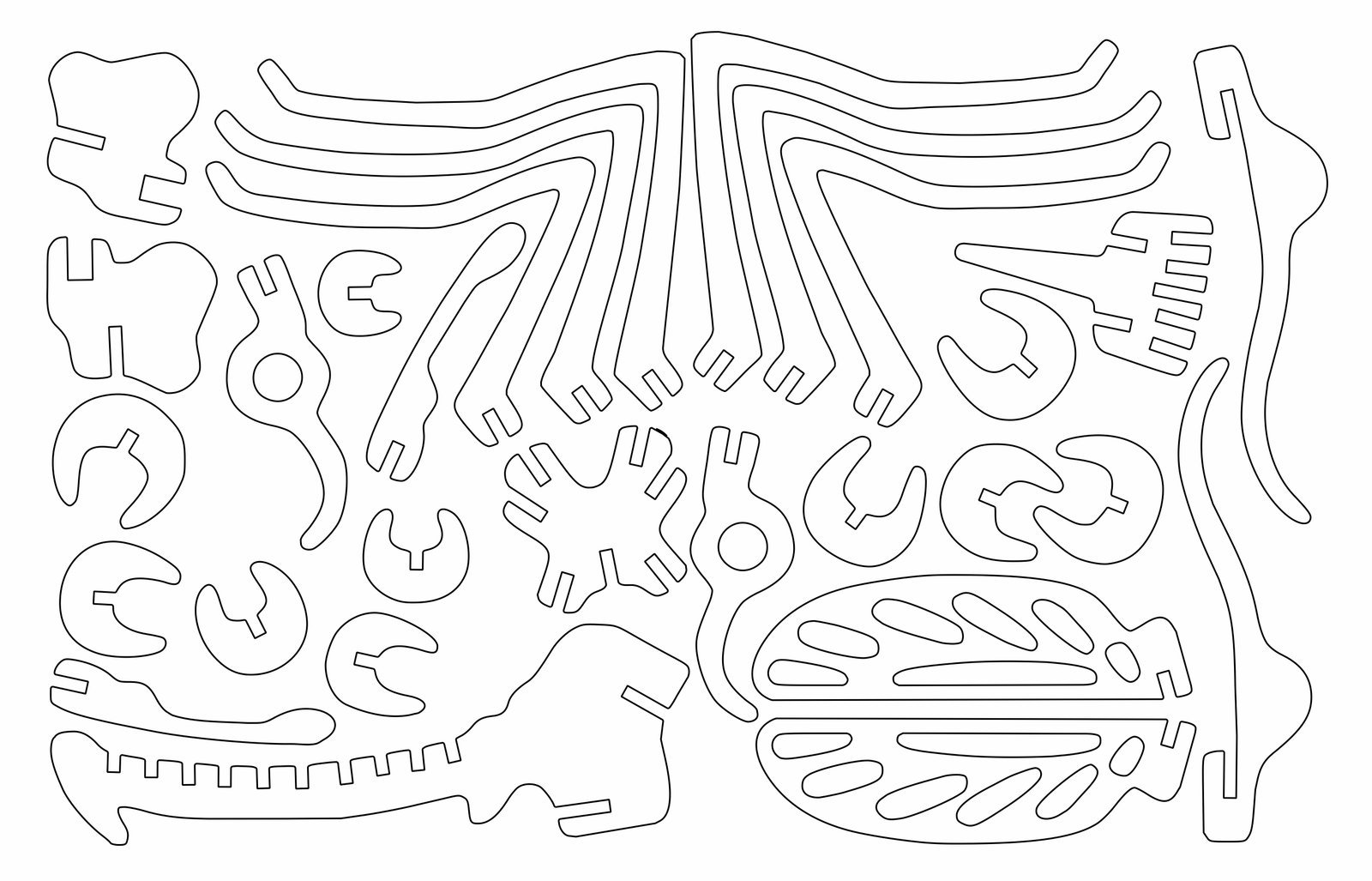 esqueleto de insecto