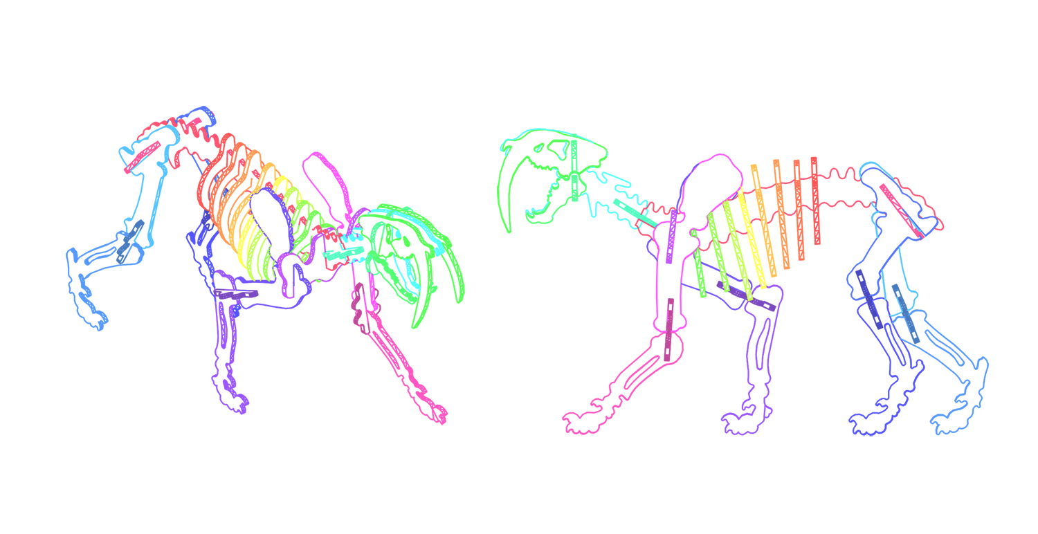 esqueleto de tigre dientes de sable 2