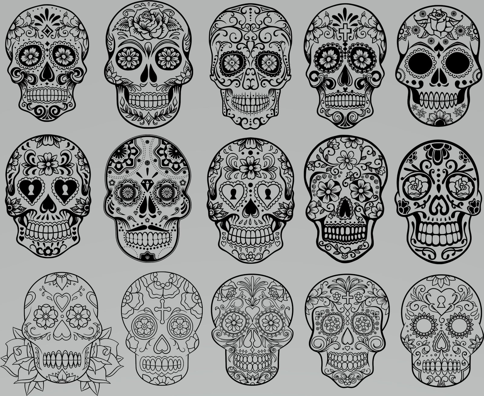 galería de cráneos