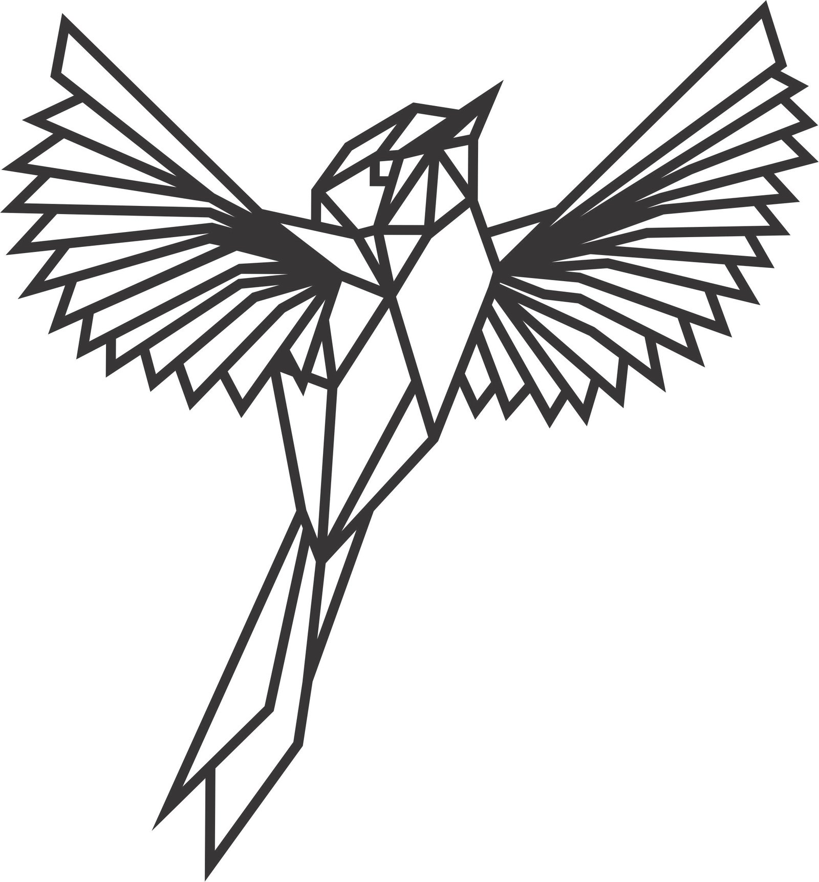 gorrión de alas abiertas