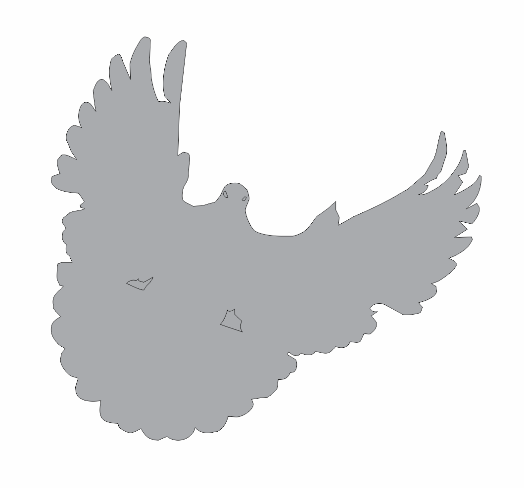 paloma de alas extendidas