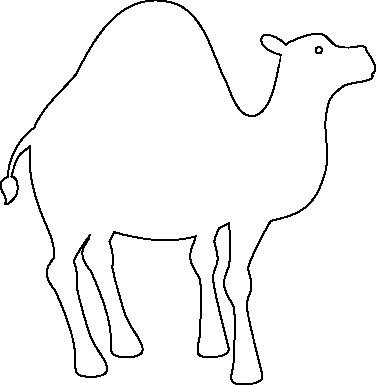silueta dromedario