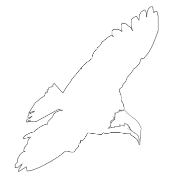 águila con alas abiertas