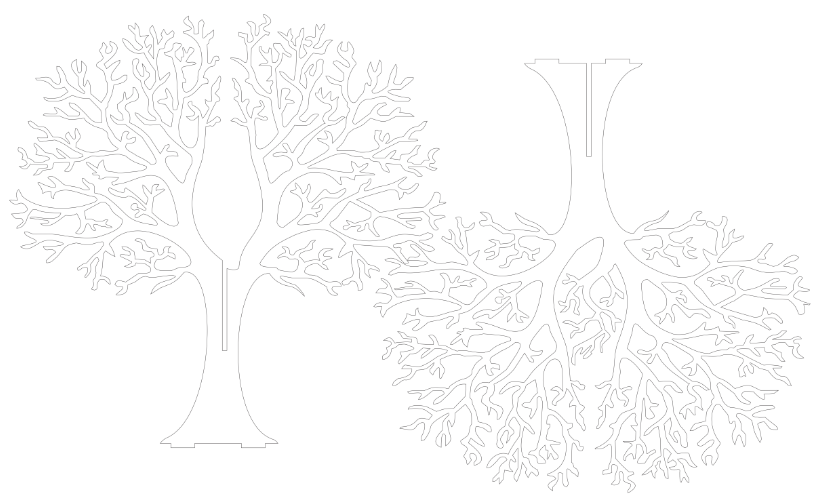 árbol sin hojas ensamblable