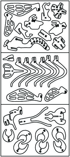 clasificación de huesos de dinosaurio