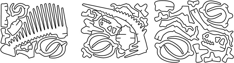 clasificación de los huesos de un spinosaurus