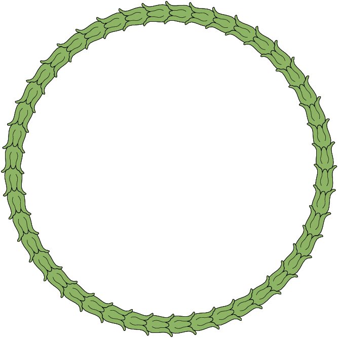 corona guirnalda decorativa