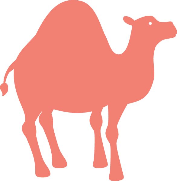 dromedario