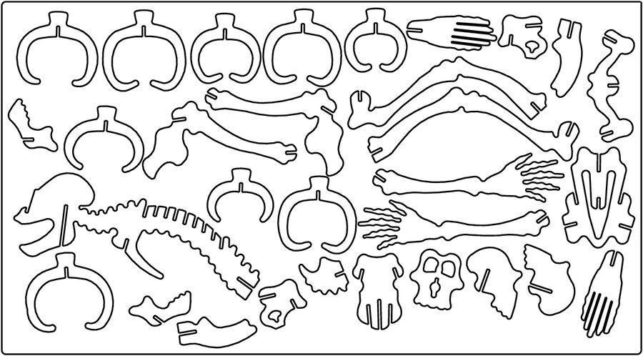 esqueleto de dinosaurio