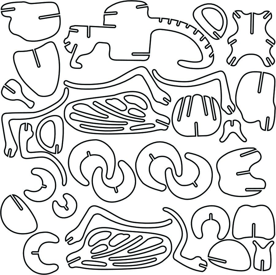 estructura de dinosaurio