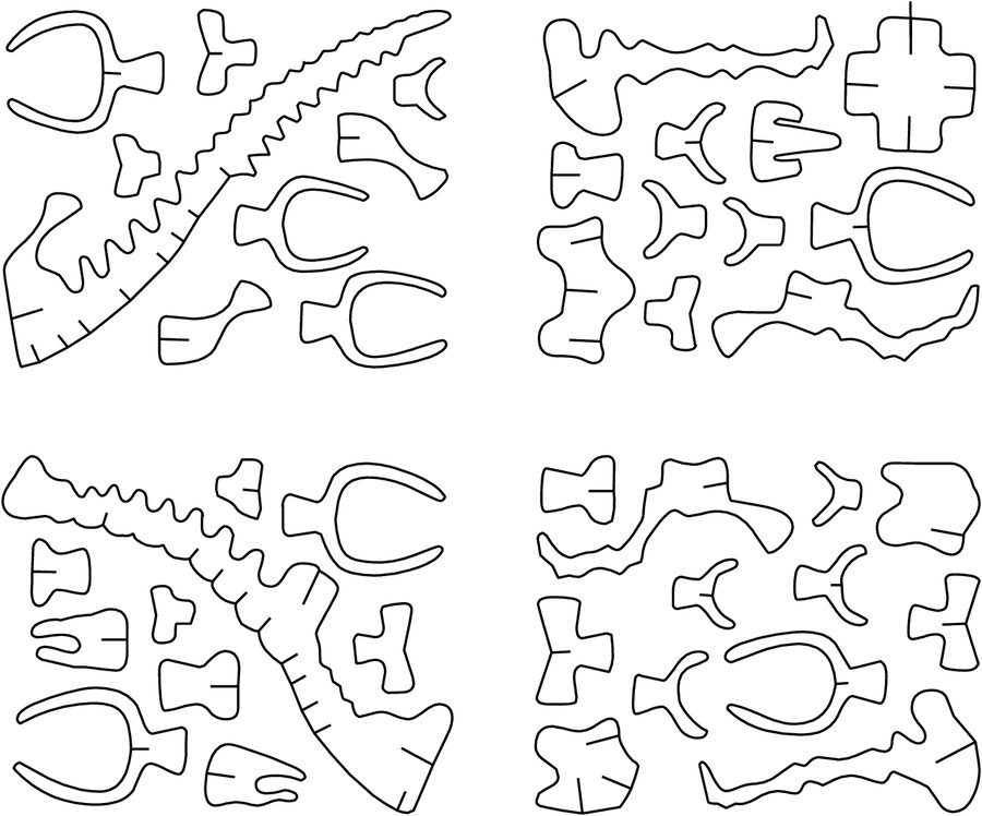huesos de aptosaurus