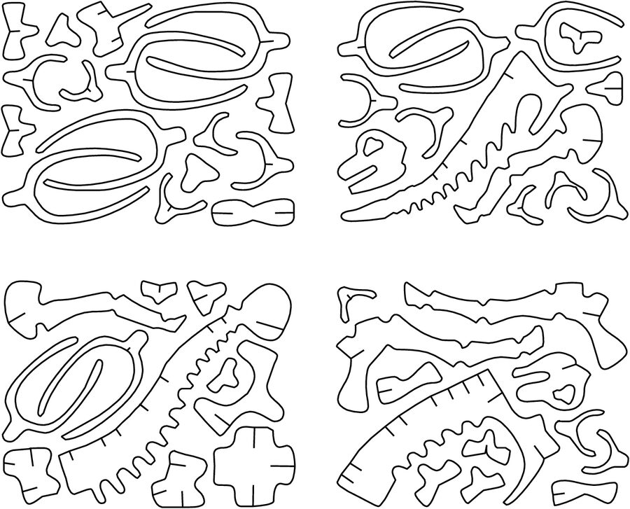 huesos de brachiosaurus