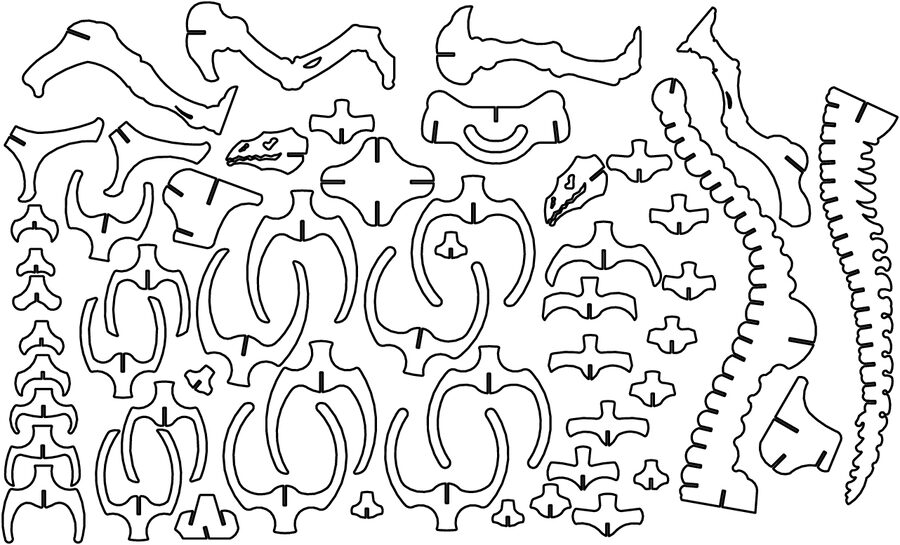 huesos de brontosaurio a 15mm