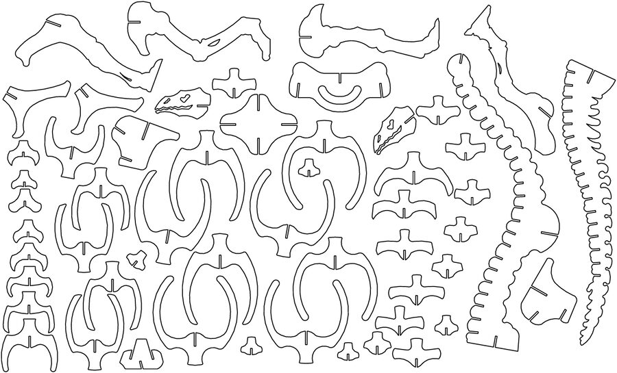 huesos de brontosaurio a 6mm