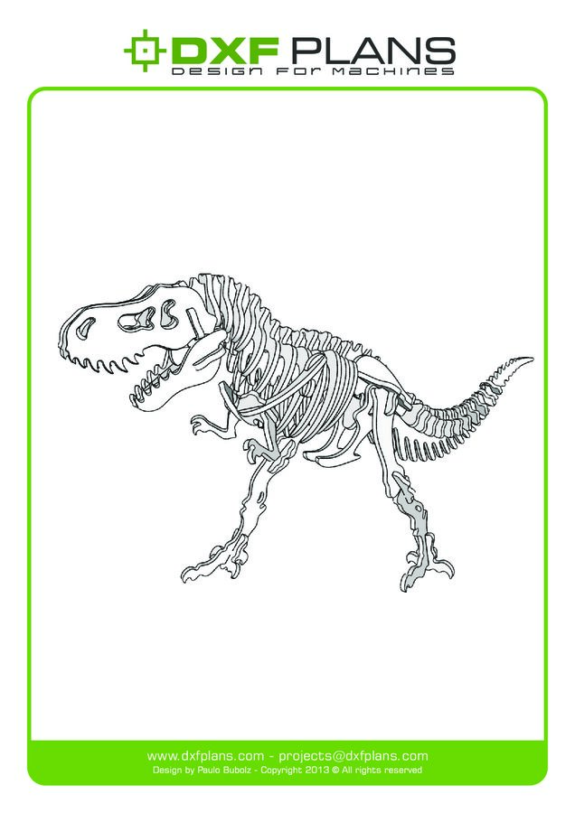 huesos de dinosaurio