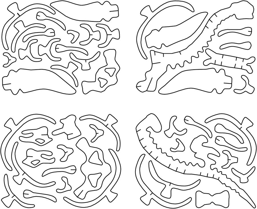 huesos de plesiosaurus