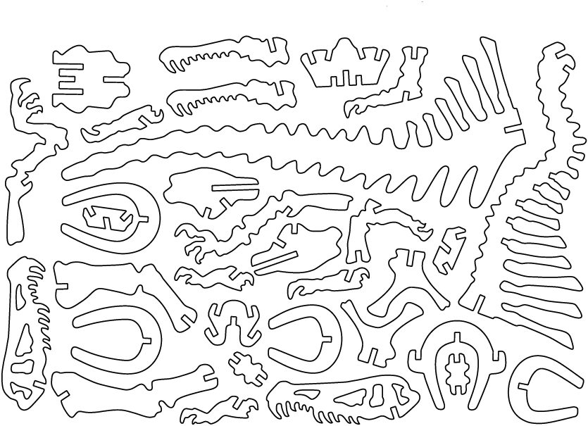 huesos de spiniosaurus a 475mm