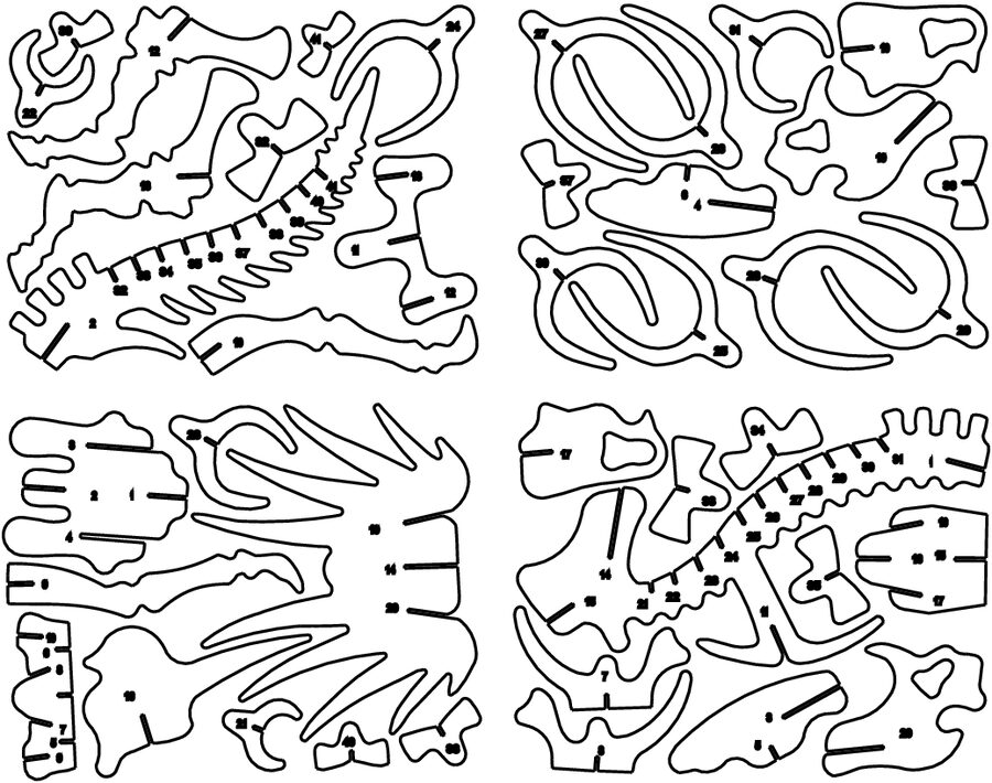huesos de styracosaurus a 1mm