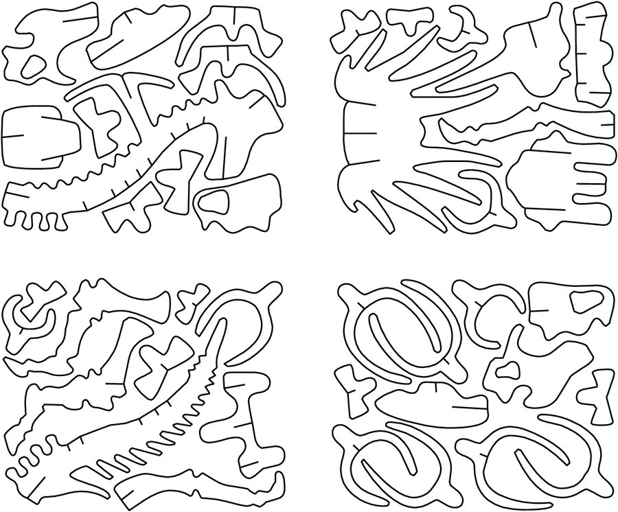 huesos de styracosaurus