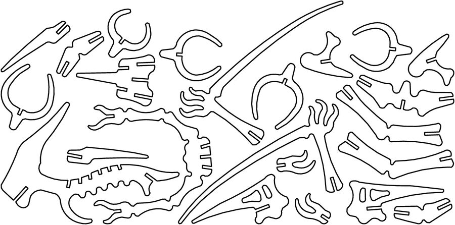 huesos de terodaptilo a 3mm