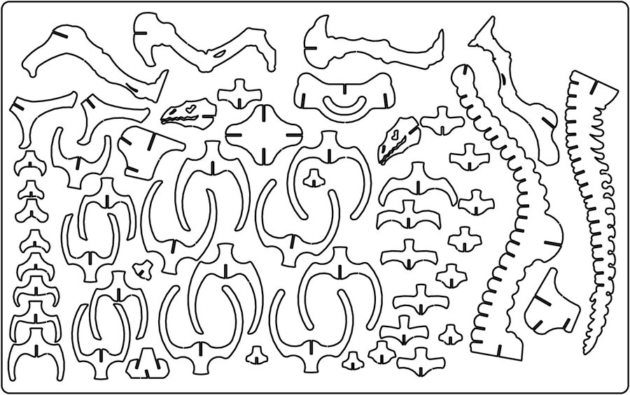 line art de dinosaurio