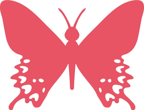 mariposa 6