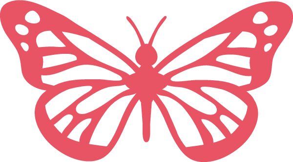 mariposa alas abiertas