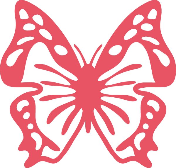 mariposa alas grandes