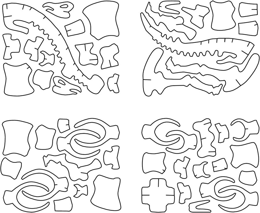 osamenta de estegosaurio